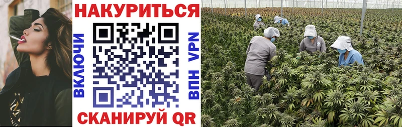 Бошки Шишки Ganja  Бородино 